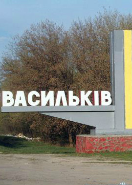 тротуарная плитка васильків